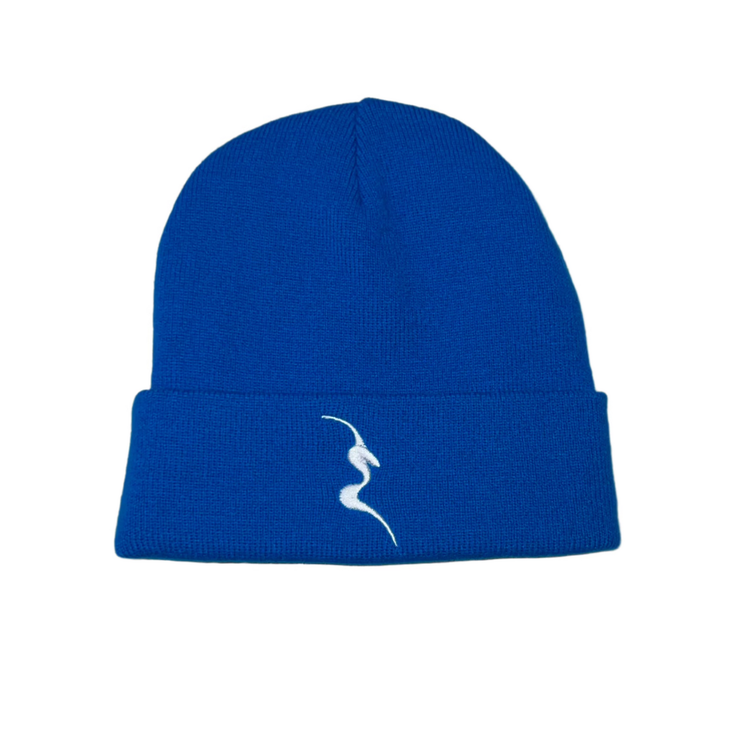 Magic City Silk Lined Beanies